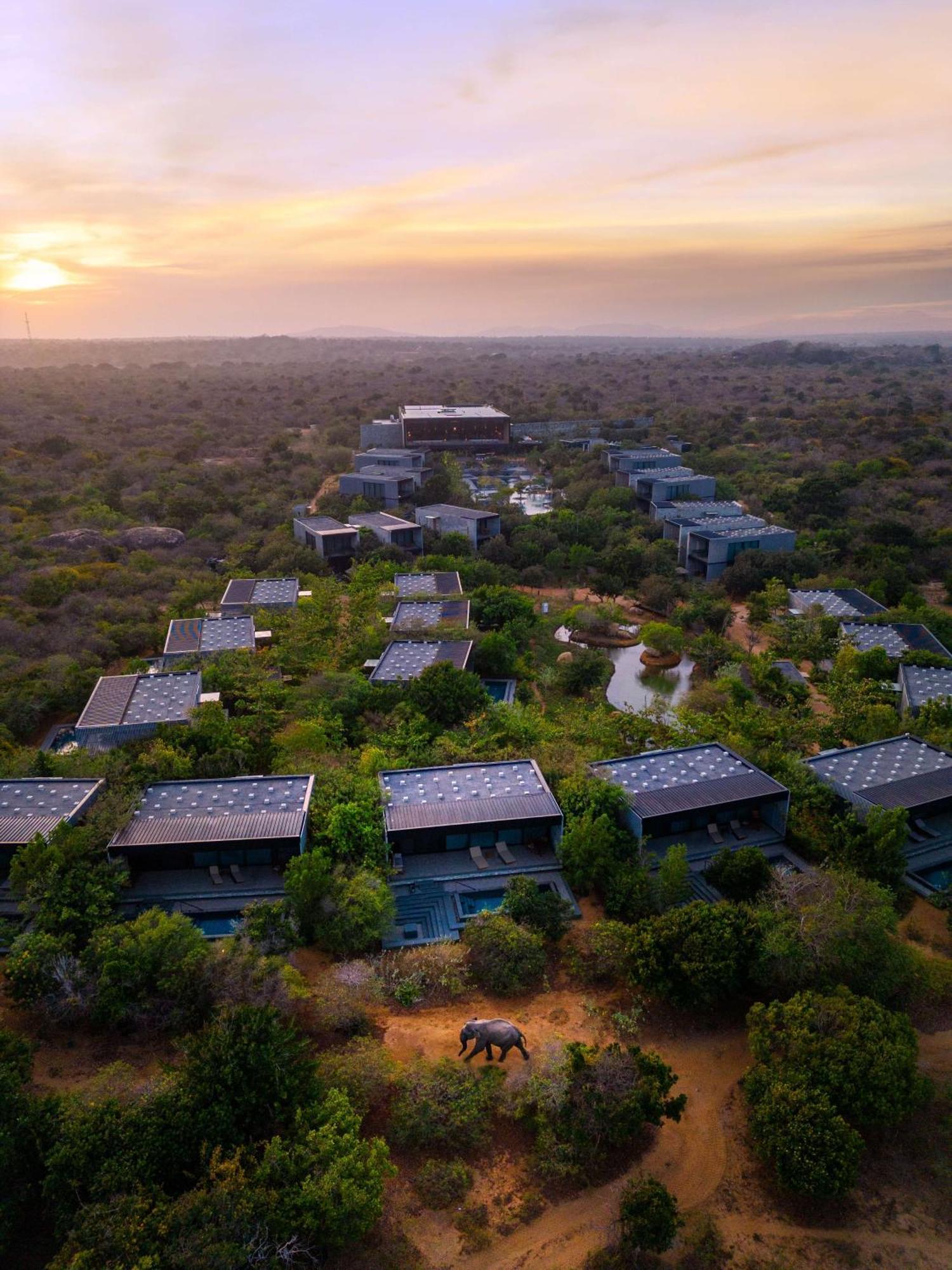 Hilton Yala Resort Extérieur photo